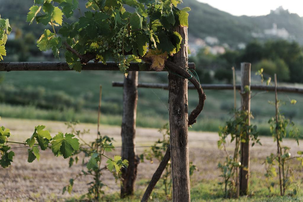 Relais Casale Valigi Villa Narni Bagian luar foto